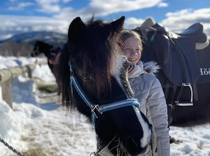 Alojamento de Turismo Selvagem Pa Myhre Gard *