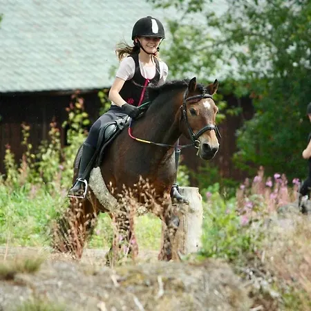 Деревянный коттедж Pa Myhre Gard Skammestein