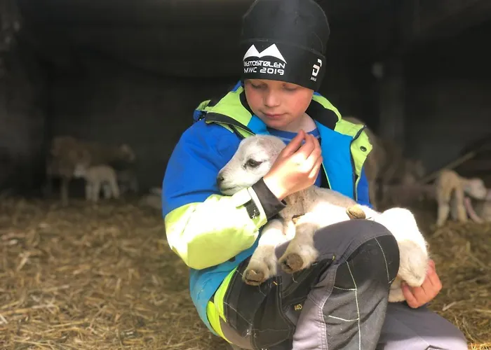 Деревянный коттедж Pa Myhre Gard