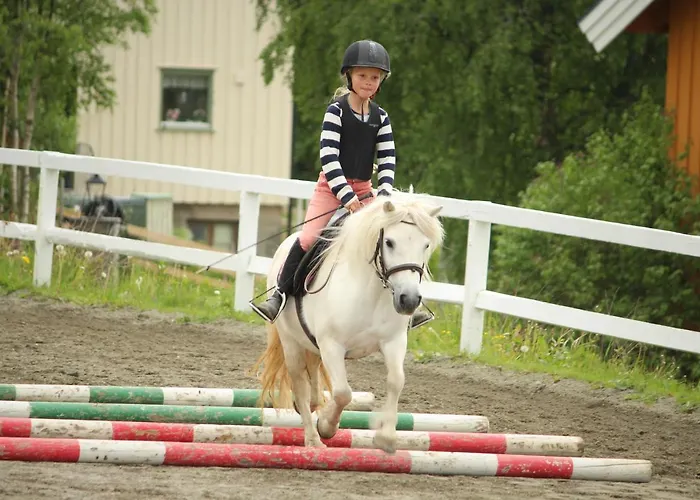 Деревянный коттедж Pa Myhre Gard Skammestein